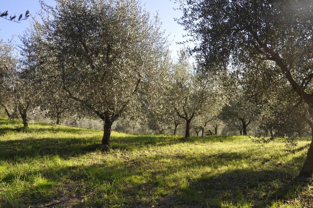 Podere Le Monache Montaione Exteriér fotografie