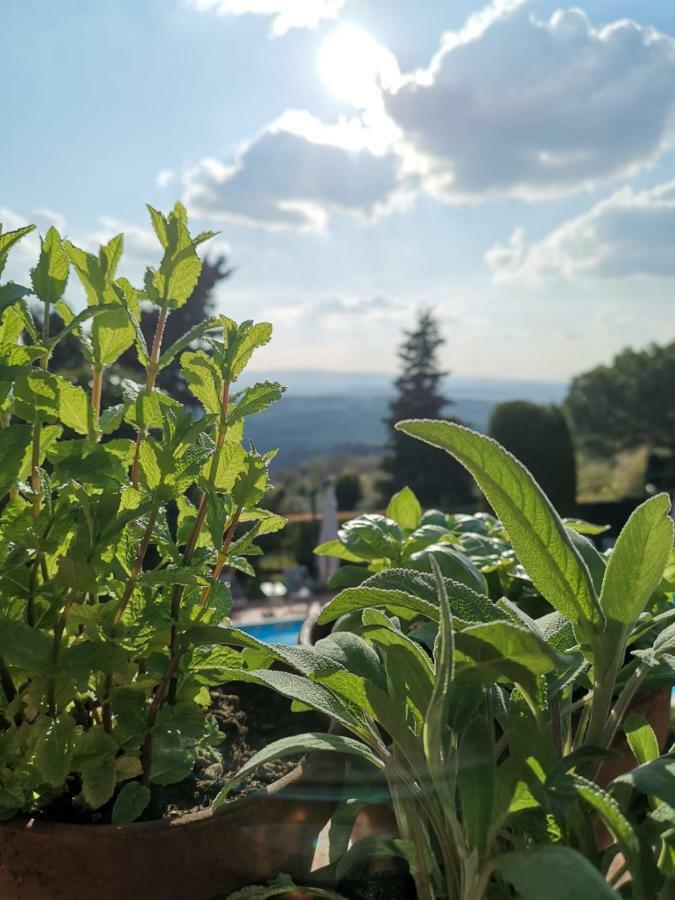 Podere Le Monache Montaione Exteriér fotografie